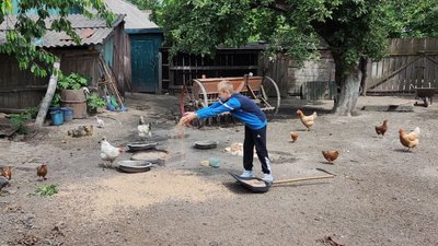 Хлопець годує курей Хлопець годує курей