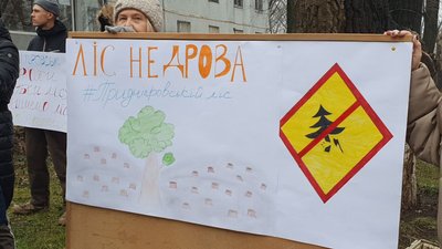 У Дніпрі суд розглянув справу щодо знищення лісу в Придніпровську: техніку, якою вирубували дерева, арештували