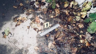 Билися та стріляли: на Франківщині затримали хуліганів. Поліція