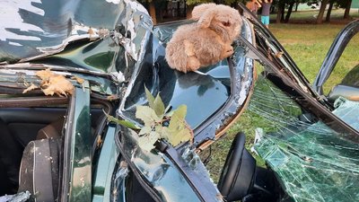 У Кропивницькому автомобіль в'їхав у труби опалення. Є травмована У Кропивницькому автомобіль в'їхав у труби опалення. Є травмована
