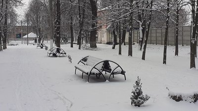 Сумщину засипало снігом. Фото читачів Суспільного Суми