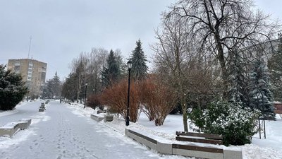 Житомир, погода, природа, січень 2026 року