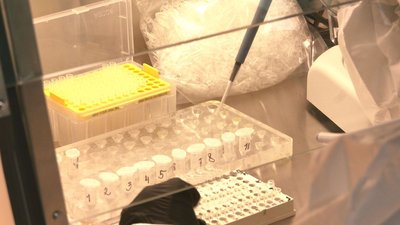Зріс рівень захворюваності на грип та ГРВІ