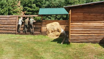 Лісівники і вольєр для кабанів Лісівники і вольєр для кабанів