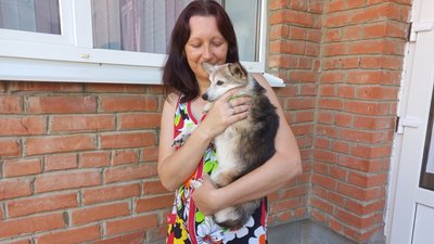 У Полтавській громаді вакцинували від сказу тварин, яких евакуювали через війну У Полтавській громаді вакцинували від сказу тварин, яких евакуювали через війну