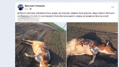 Допис, який опублікували у соцмережах. Допис, який опублікували у соцмережах.