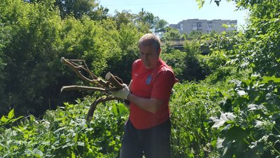 Ріжуть аварійні кущі та дерева: у Луцьку розчищають берег Сапалаївки
