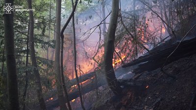 Рятувальники Закарпаття попереджають про високий рівень пожежної небезпеки 10 серпня