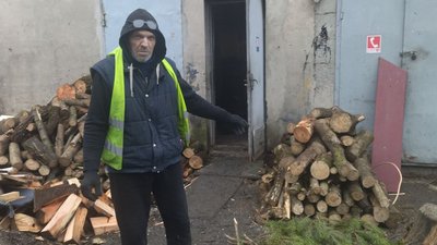 Менше, ніж торік: як у Луцьку збирають та утилізують новорічні дерева Менше, ніж торік: як у Луцьку збирають та утилізують новорічні дерева