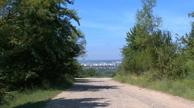 У Франківській ТГ на Вовчинецьких горах облаштовують рекреаційну зону У Франківській ТГ на Вовчинецьких горах облаштовують рекреаційну зону
