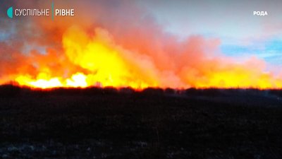 Стали відомі збитки від пожежі в Нобельському парку на Рівненщині