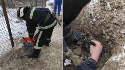 Прикарпатські рятувальники визволяли кошеня, яке застрягло у трубі Прикарпатські рятувальники визволяли кошеня, яке застрягло у трубі