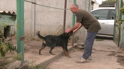 Житель села П'ятихатки Запорізької області підірвав два російські танки Житель села П'ятихатки Запорізької області підірвав два російські танки