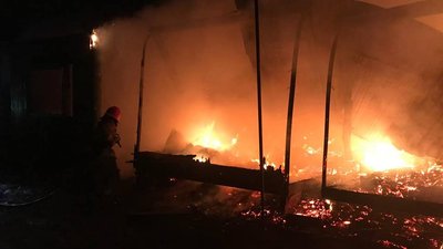 На Одещині горіла колишня база відпочинку: вогонь знищив сім будинків На Одещині горіла колишня база відпочинку: вогонь знищив сім будинків