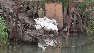 Калушан затоплює. Погрожують перекрити вулицю Калушан затоплює. Погрожують перекрити вулицю
