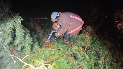 Наслідки негоди на Волині: повалені дерева та аварійне відключення світла Наслідки негоди на Волині: повалені дерева та аварійне відключення світла