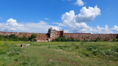 Руїни замку у Старому Селі Руїни замку у Старому Селі