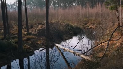 Як укріплюють кордон на Рівненщині та чим допомагають бобри. Пояснює начальник ОВА Як укріплюють кордон на Рівненщині та чим допомагають бобри. Пояснює начальник ОВА
