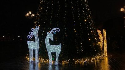 Нова традиція. У Києві засвітили 14-метрову парламентську ялинку Нова традиція. У Києві засвітили 14-метрову парламентську ялинку
