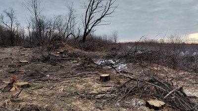 кримінал, ліс, природа, Дніпро