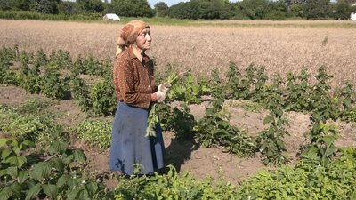 Найстарша жителька калинівки, 85-річна Антоніна Надольник Найстарша жителька калинівки, 85-річна Антоніна Надольник
