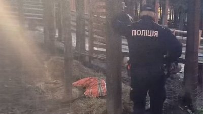 Поліція, олениця, смерть