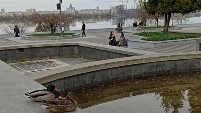 Парк ім. Т. Шевченка, Дніпро, оглядовий майданчик