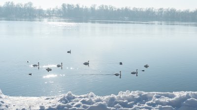 На Полтавщині на вихідних очікується ожеледиця та мінлива хмарність
