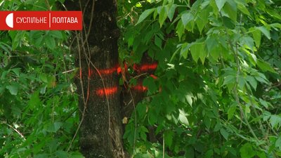 Позначені інвазійні дерева Позначені інвазійні дерева