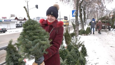 У Луцьку запрацювали ялинкові ринки. Що пропонують до свят У Луцьку запрацювали ялинкові ринки. Що пропонують до свят