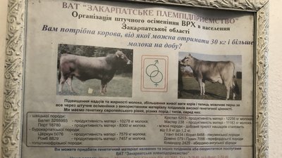 Першу екскурсію на кріосховище провели на Закарпатті Першу екскурсію на кріосховище провели на Закарпатті