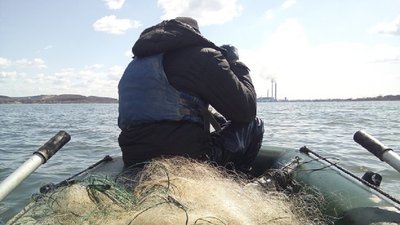 З 1 квітня у водоймах Прикарпаття - нерест З 1 квітня у водоймах Прикарпаття - нерест
