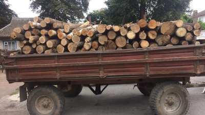 На Житомирщині затримали вантажівку та трактор зі зрубаним лісом без документів На Житомирщині затримали вантажівку та трактор зі зрубаним лісом без документів