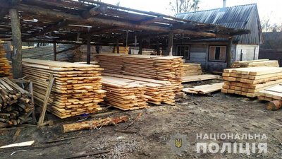На Житомирщині двічі за добу поліція виявила необліковану деревину На Житомирщині двічі за добу поліція виявила необліковану деревину