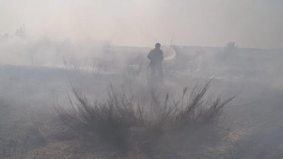 Гектари у вогні: на Волині одразу кілька пожеж в екосистемі