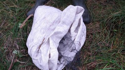 У водоймах волинського нацпарку виявили браконьєрські сітки У водоймах волинського нацпарку виявили браконьєрські сітки