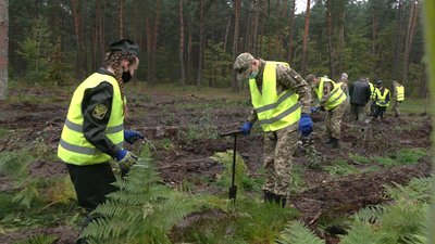 215 тисяч дерев: на Рівненщині долучились до всеукраїнської акції озеленення 215 тисяч дерев: на Рівненщині долучились до всеукраїнської акції озеленення