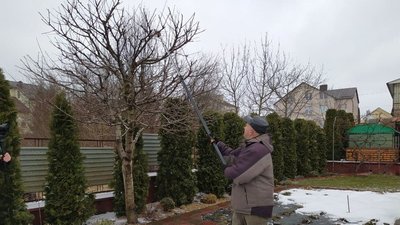 Садівник із Тернопільщини розповів, як робити весняну обрізку дерев