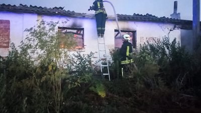 На Черкащині під час пожежі згоріли дві тисячі домашньої птиці На Черкащині під час пожежі згоріли дві тисячі домашньої птиці