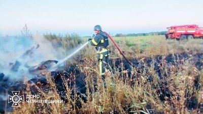 Пожежа на Чернігівщині: загорілася трава на ділянці у 70 гектарів