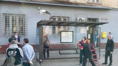 Лелеку помітили на вулиці Личаківській Лелеку помітили на вулиці Личаківській