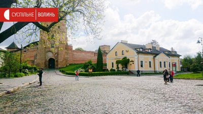 Вигниває середина. Київські науковці оглянули Лесин ясен у Луцьку Вигниває середина. Київські науковці оглянули Лесин ясен у Луцьку