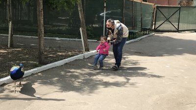 В Одесі зоопарк відновив роботу В Одесі зоопарк відновив роботу