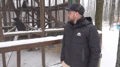 Госпіс для травмованих тварин харків Госпіс для травмованих тварин харків