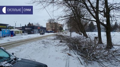 160 населених пунктів без електрики, повалені дерева і ускладнений рух: наслідки вітру на Сумщині 160 населених пунктів без електрики, повалені дерева і ускладнений рух: наслідки вітру на Сумщині