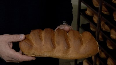 Пекарня в Ольгополі