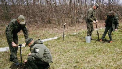 На Кіровоградщині у географічному центрі України висадили 30 сосен до Дня Незалежності На Кіровоградщині у географічному центрі України висадили 30 сосен до Дня Незалежності