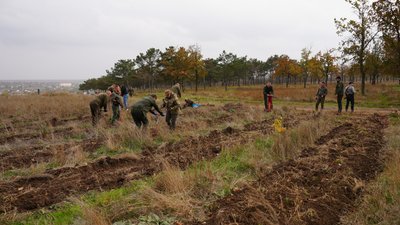 У Херсонському районі висадили перший гектар лісу на розмінованій ділянці У Херсонському районі висадили перший гектар лісу на розмінованій ділянці