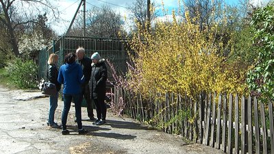Заради інтернету: на о. Хортиця зрізали гілки та залишили на узбіччі Заради інтернету: на о. Хортиця зрізали гілки та залишили на узбіччі