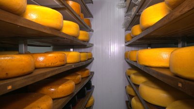 Сири виробника із Сум відзначили на міжнародному конкурсі